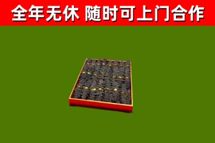 漯河回收海参